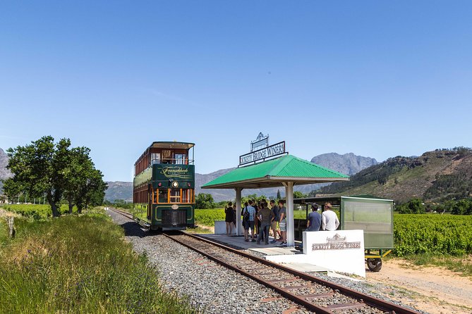 Full-Day Franschhoek Wine Tram Tour from Cape Town