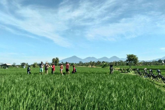 Half-Day Electric Cycling Tour of Ubud