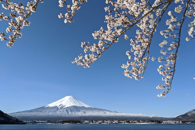 Private Tour: Chartered Car to Mt. Fuji Lake Kawaguchiko