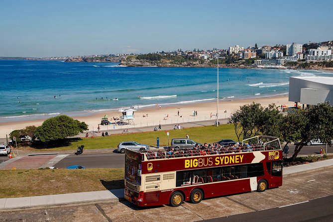 Big Bus Sydney and Bondi Hop-on Hop-off Tour