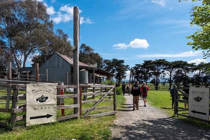 Yarra Valley Wine and Winery Tour from Melbourne